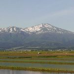 若葉旅館は庄内米１００%使用しています。