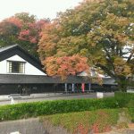 秋はつとめて・・やうやう朱くなりゆくもみぢ・・（本当はもみじではないのですが・・）