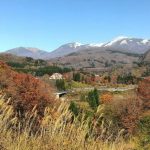 (11/1・水)団体様貸し切りに伴うお食事処「新芽」の臨時休業についてのお願い (11/1・水)