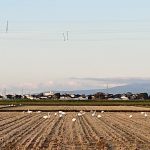 10月26日(土)ランチタイム臨時休業のお知らせ　－